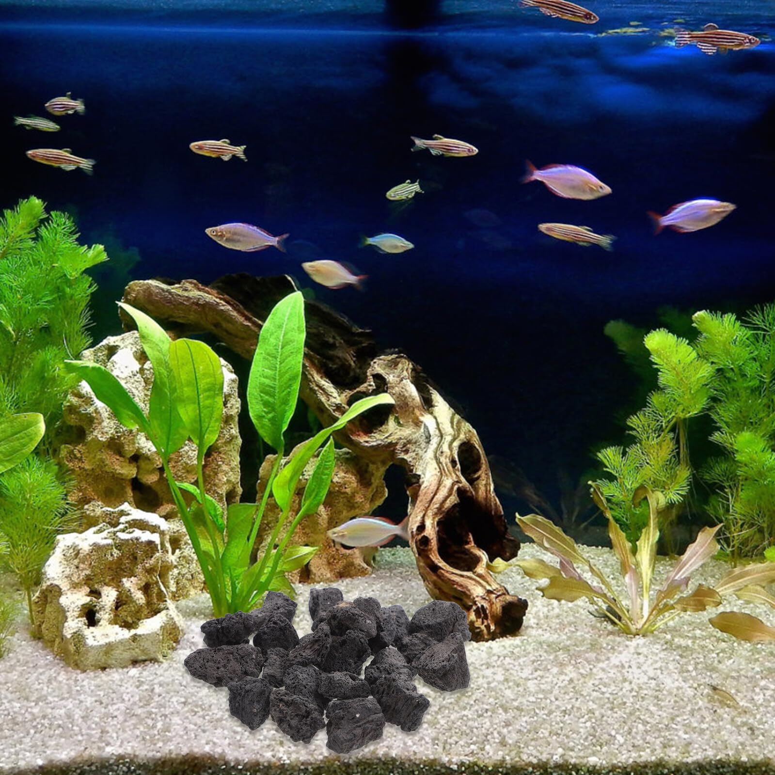 Hemobllo Roche Volcanique Naturelle Noire Poreuse 200g 2-4cm pour Décoration Aquarium, Plantes en Pot et Aménagement Paysager, Pierre Volcanique Respirante pour Terrarium et Jardin