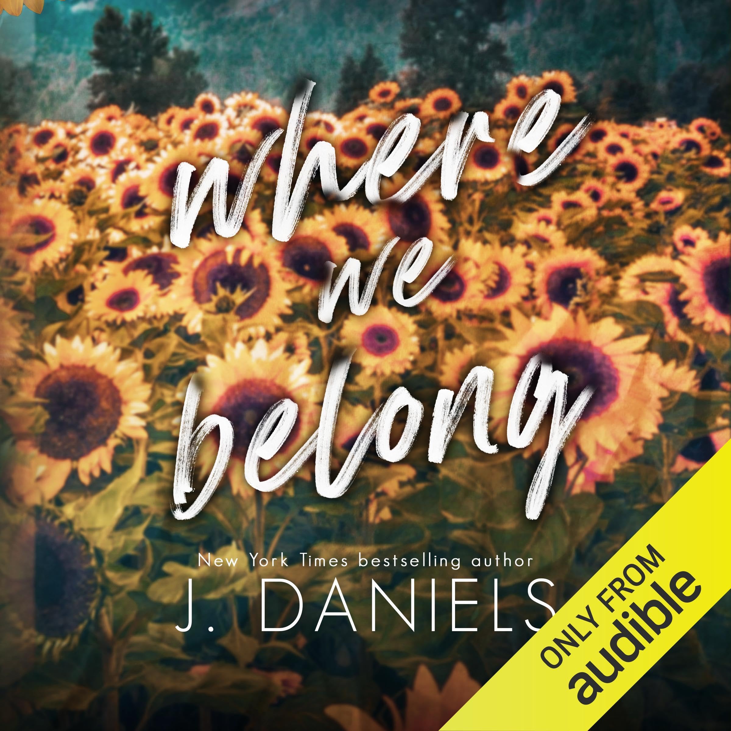 Cover art for Where We Belong