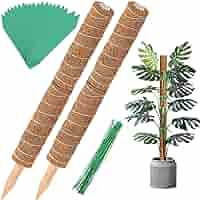 Toxx MOSS STICK 50SW Amazon.com : 48 Inch Bendable Moss Pole for Plants Monstera