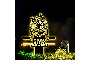 Eurasier Metal Stake with Solar LED Light