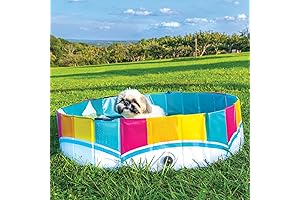 BigMouth Pink Foldable Dog Pool