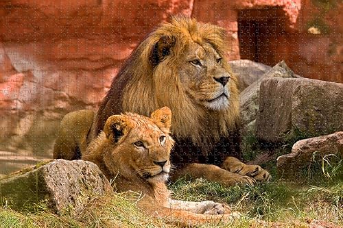 Miniatura 9 de Alemania Schwabisch Hall Rompecabezas para adultos 1000 piezas de madera regalo de viaje recuerdo