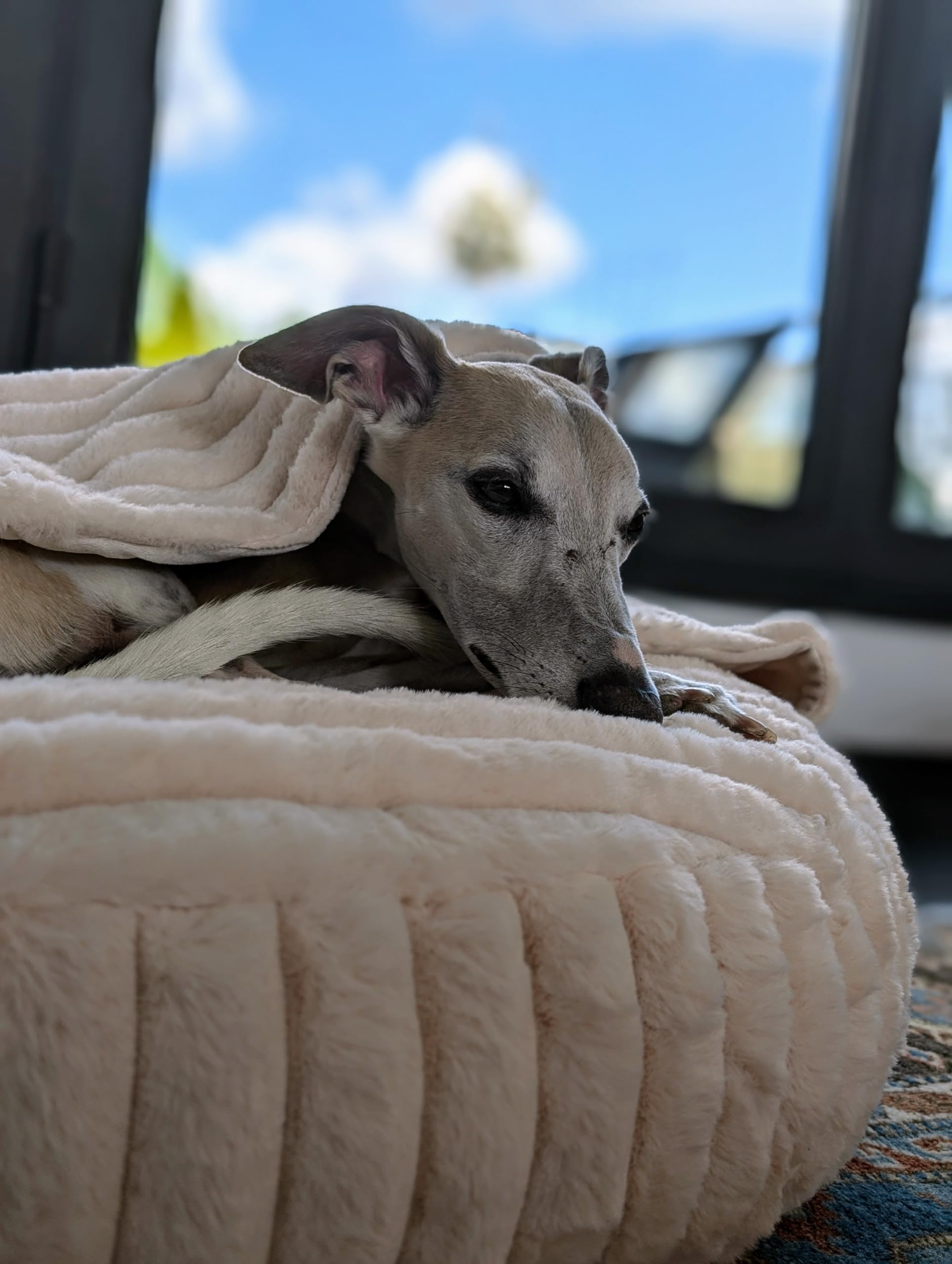 EDEL&SCHNELL Hundebett Wechselbezug Hellbeige 90 cm Ersatz Bezug Hundebett Flocke mit Kapuze Bezüge als Hundehöhle aus weichem Kunstfell