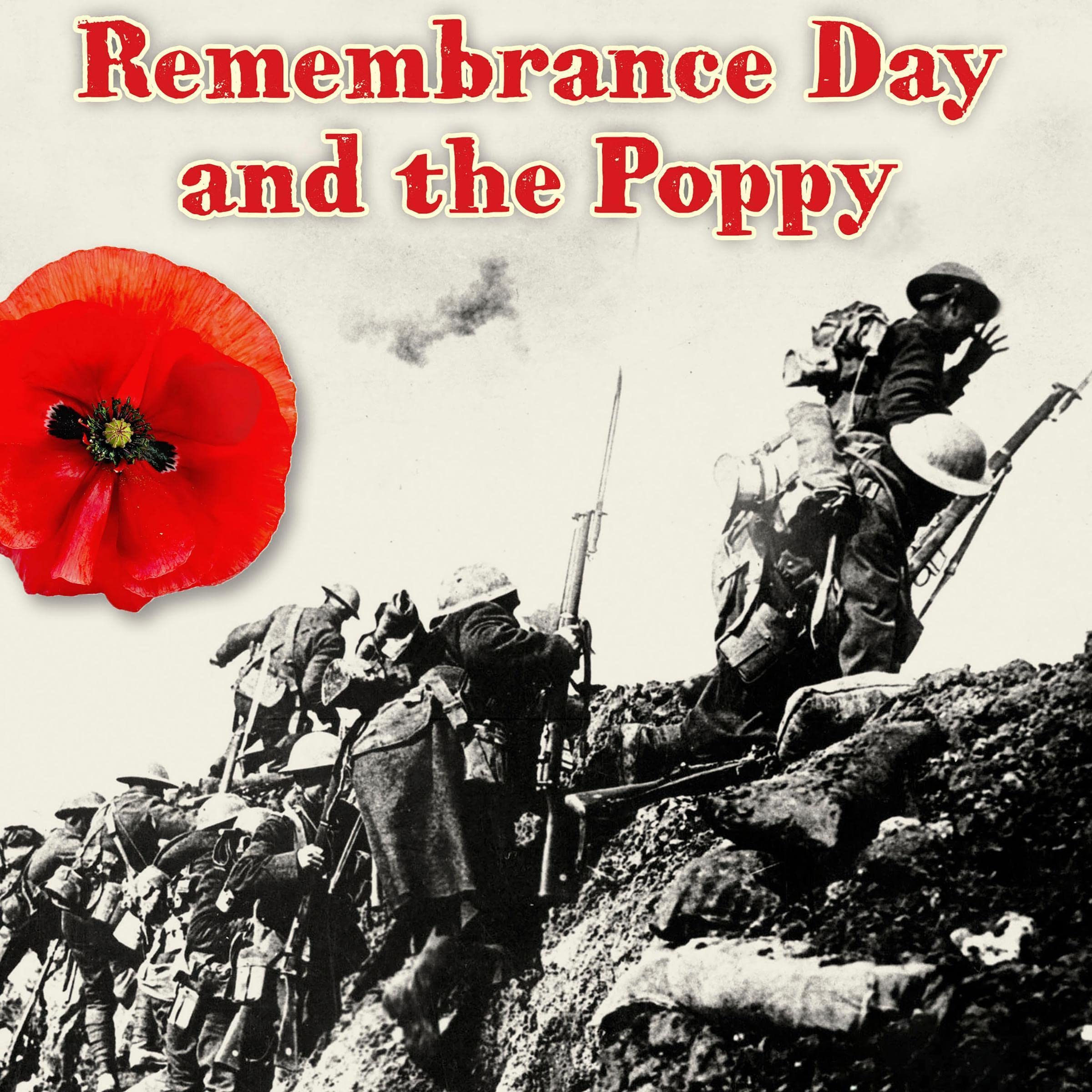 The Remembrance Day and the Poppy