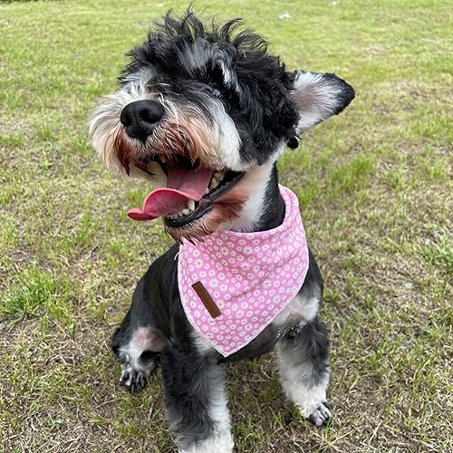 Miniatura 4 de UP URARA PUP Bandana de verano para perro, bandana hawaiana para perros medianos y grandes, lindo pañuelo rosa para cachorros, adorable bufanda