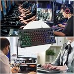 Lumsburry Computer Keyboard, 87 Keys Compact Wired USB Keyboard with Rainbow LED Light Up Backlit for PC Gaming Laptop Teclado Gamers Office Working