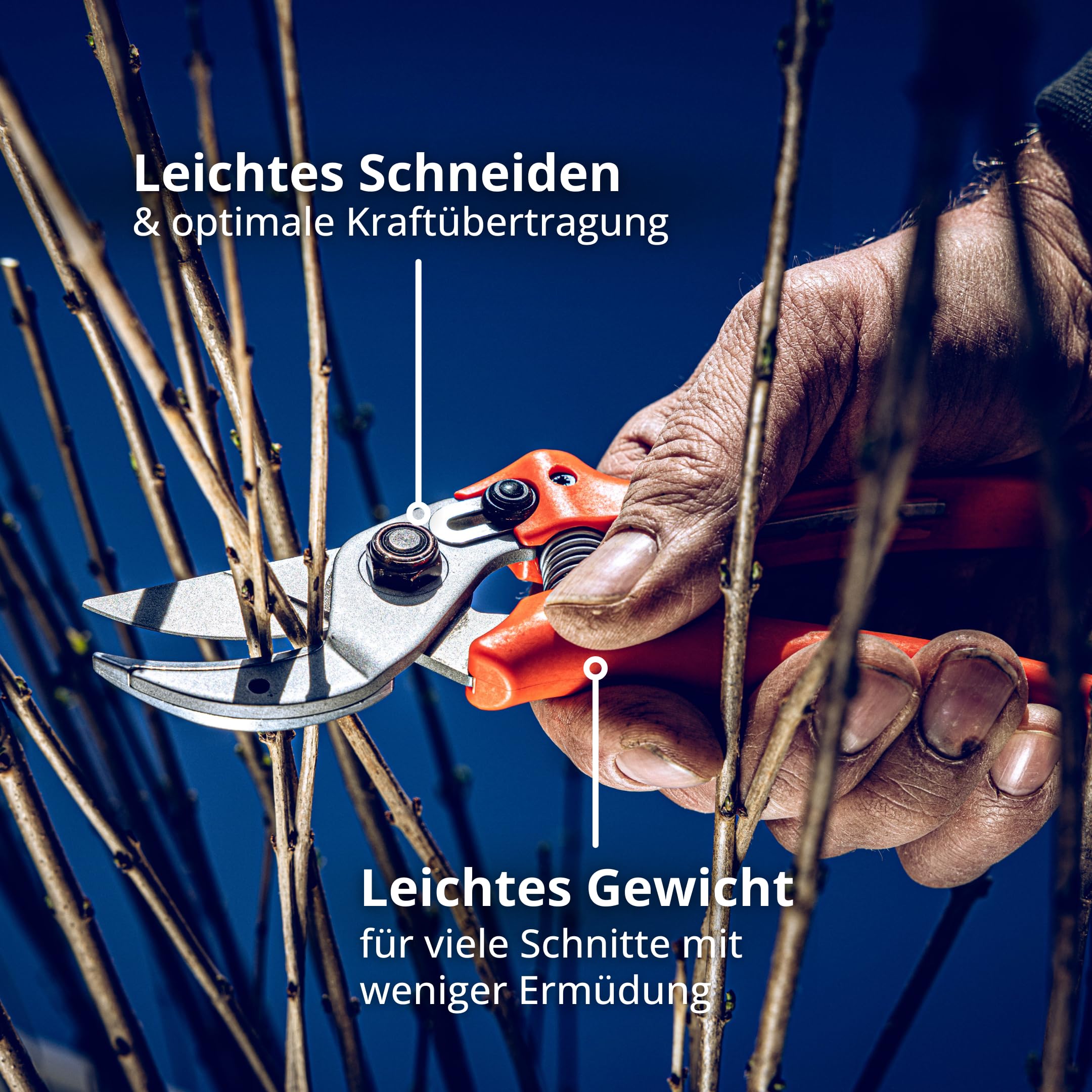 Original LÖWE 15 Profi Amboss Schere 15.104 mit gebogener und antihaftbeschichteter Bypass Klinge - kompakte und starke Schere schneidet ideal hartes Holz wie Kiefer Linde Fichte Lärche
