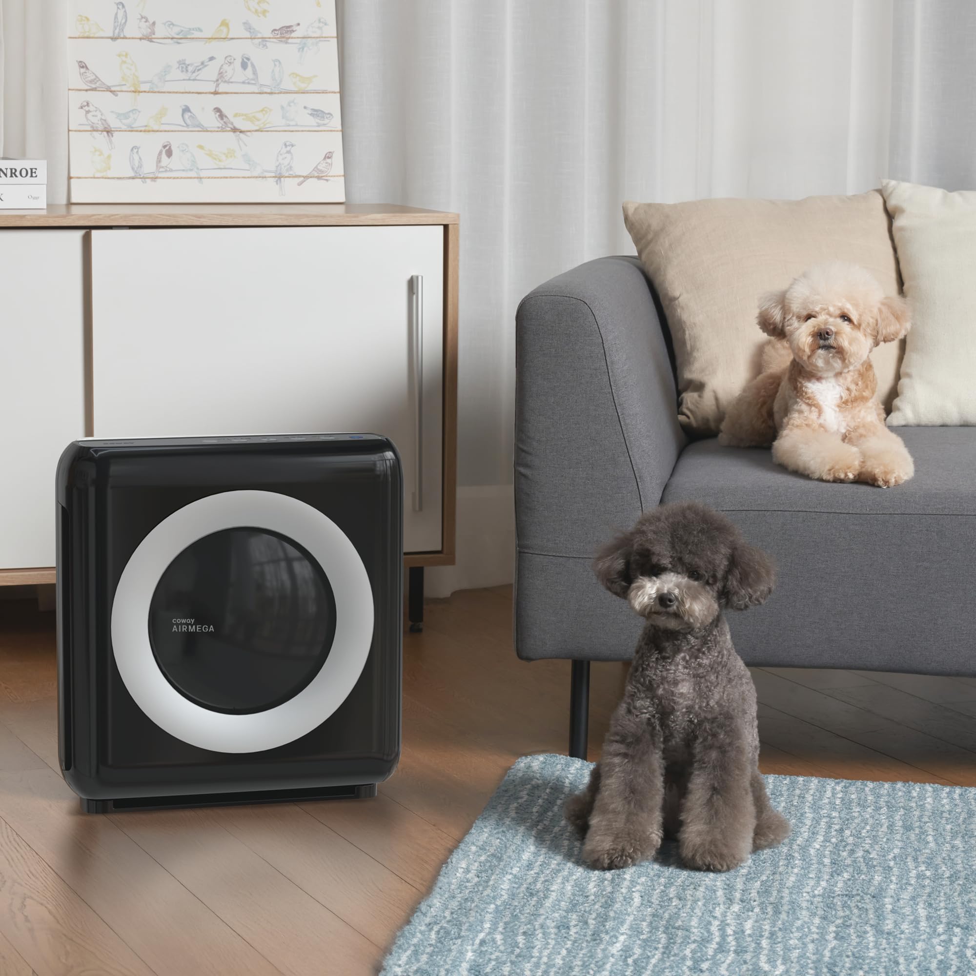 COWAY Purificatore d'aria con filtro HEPA, ionizzatore, prima scelta di Wirecutter, rimuove il 99,999% di particelle nocive fino a 0,01 µm per allergie, CADR 421 m³/h, ap-1512hh MIGHTY (Nero)