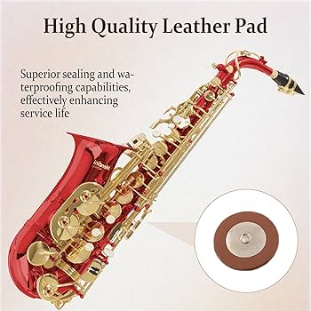 Amazon.com: Mendini By Cecilio Alto Saxophone for Beginners, E Amazon.com: Mendini By Cecilio Alto Saxophone for Beginners, E