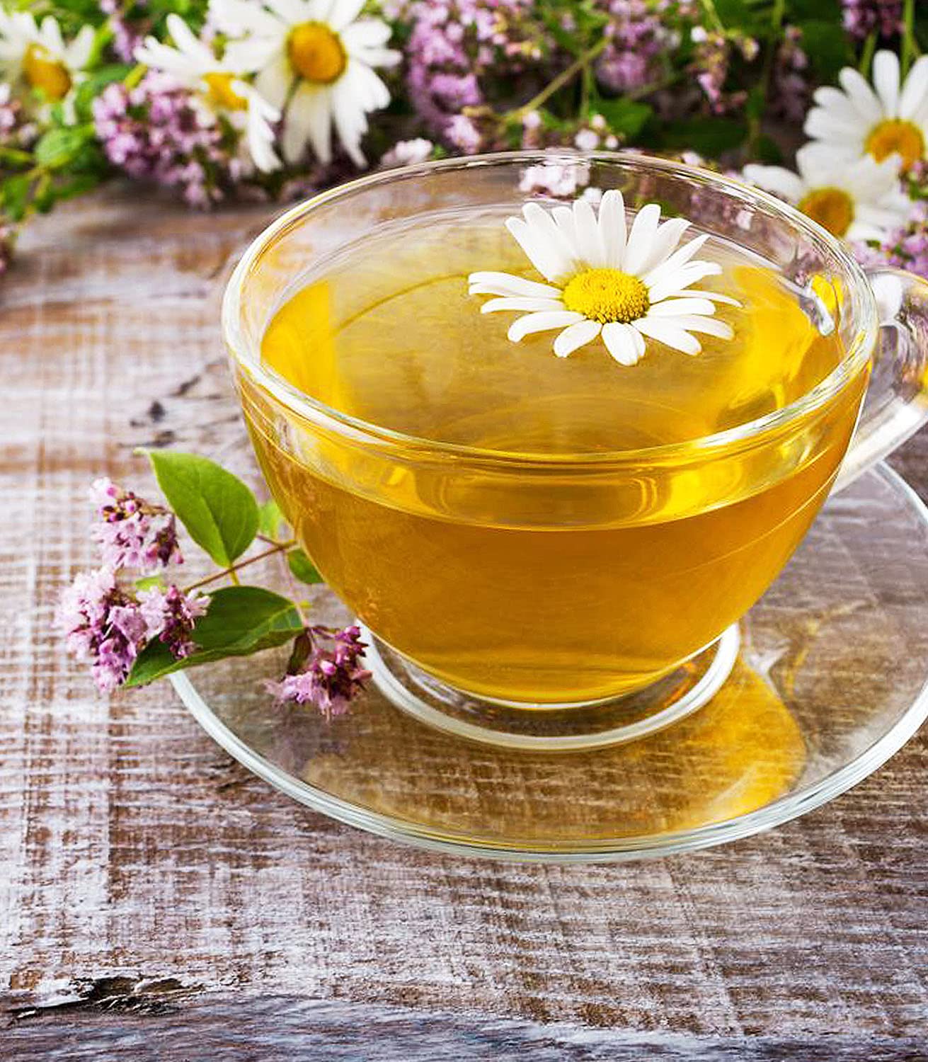 Semi Di Camomilla Biologici Certificati Minigarden - Confezione Da 7500-6000 Semi, Ideali Per Tisane E Giardinaggio - Foto 6