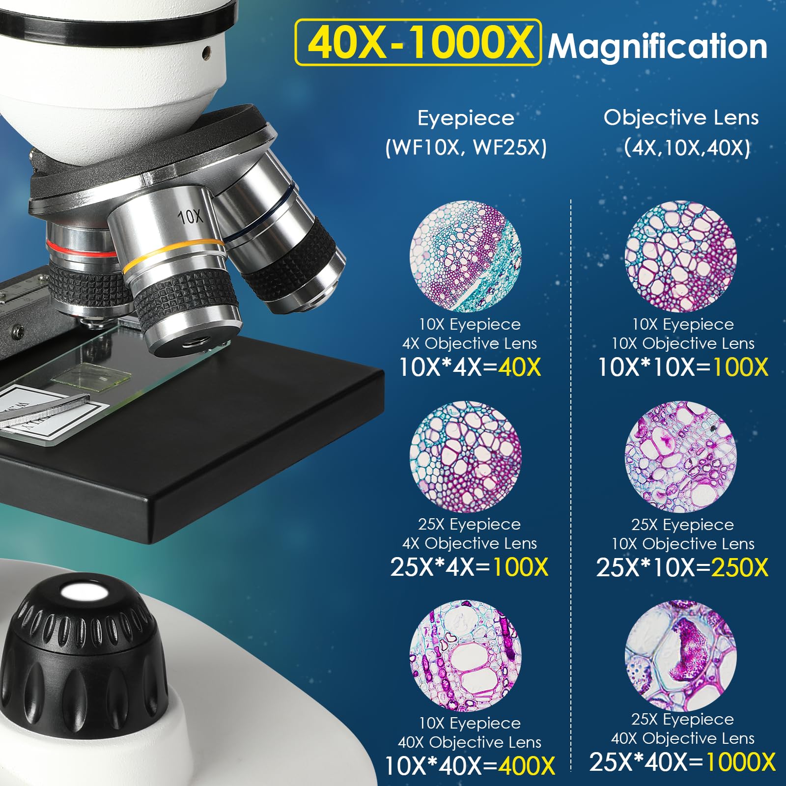 Cowiewie Microscopio Binoculare professionale a trasmissione e riflessione 40X-1000X per luce incidente e trasmessa, con oculare e illuminazione a LED, microscopio per studenti con vetrini