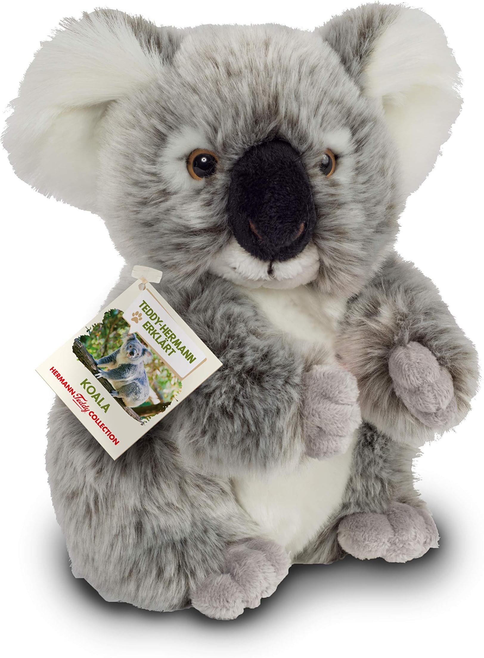 Teddy Hermann 91424 Koala Bear 21 cm, cuddly toy with 75% recycled filling material, special edition "Teddy Hermann explained"