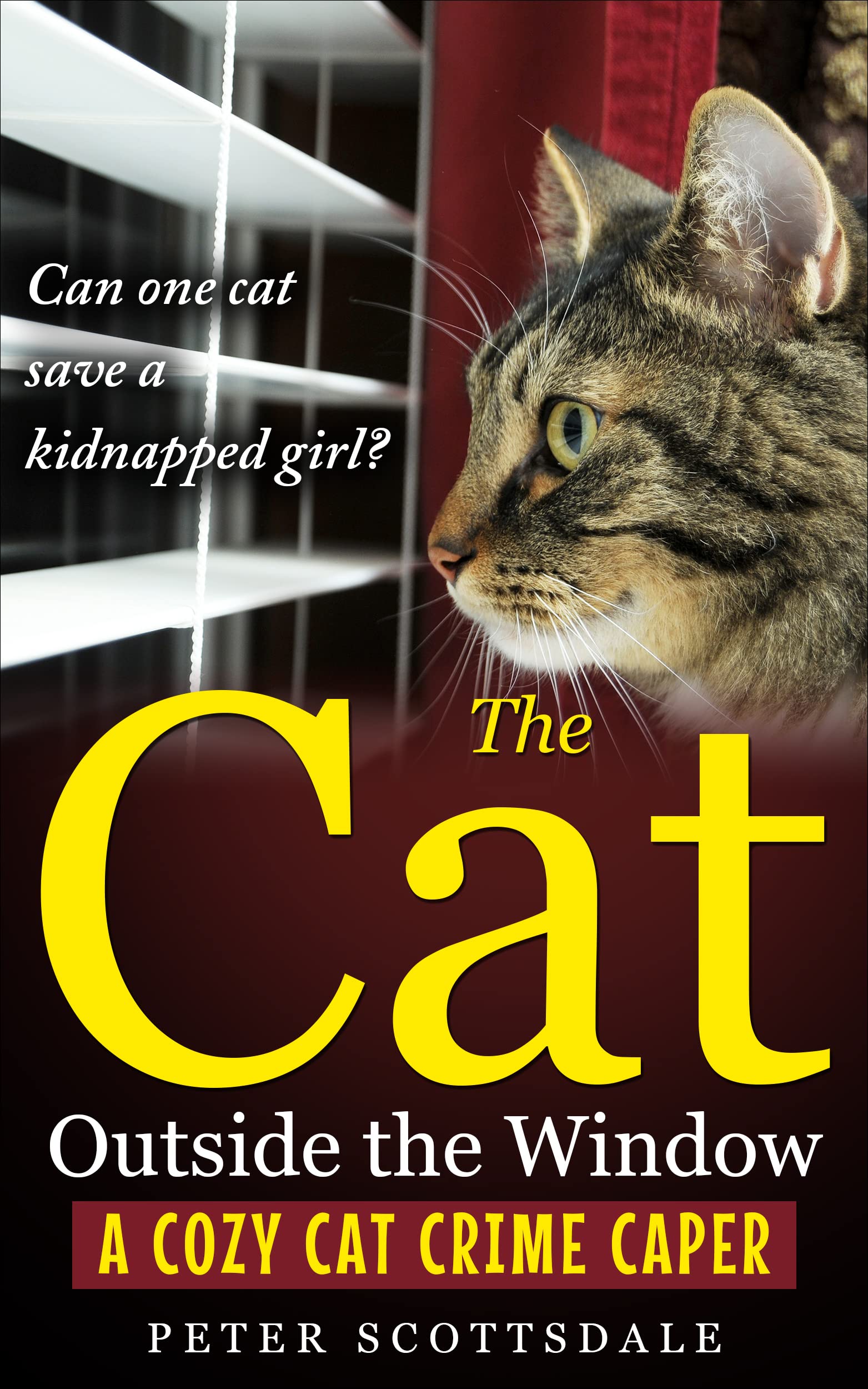 The Cat Outside the Window: A Cozy Cat Crime Caper (Cozy Cat Thrillers Book 3)