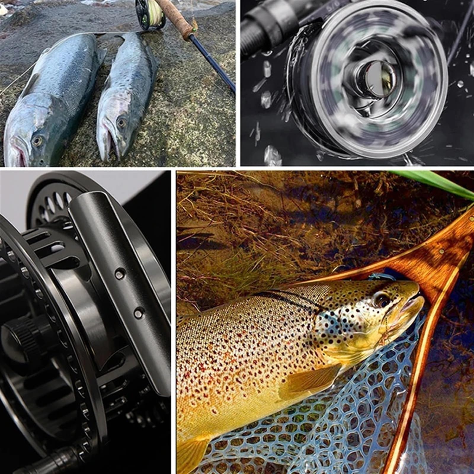 Mulinello per pesca a mosca Mulinello da pesca a mosca in lega di alluminio lavorato CNC multicolore, diverse misure