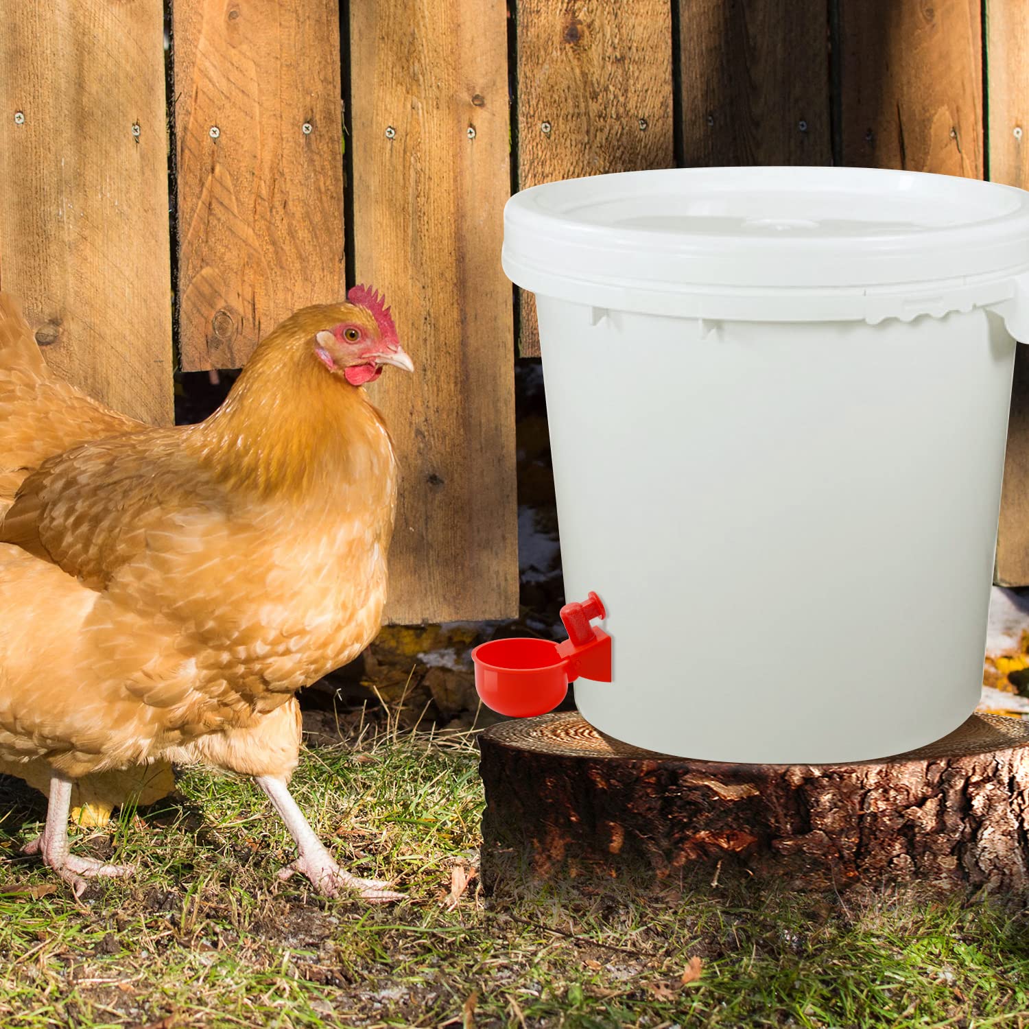 Regadera de pollo, tazas de agua de pollo para aves de corral, llenado automático de gravedad de pollo con sierra perforadora para cubos, cajas y comederos (paquete de 24)