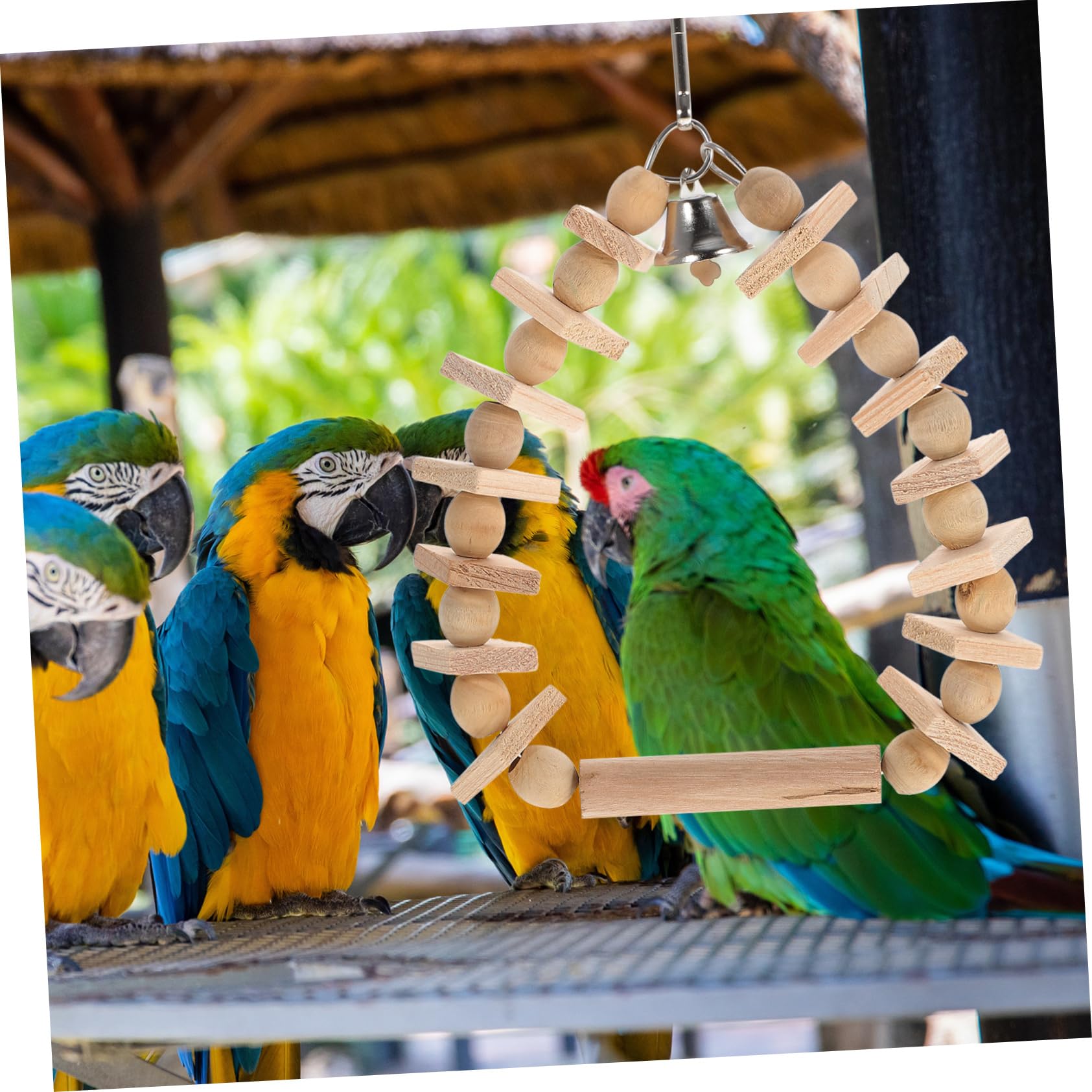 minkissy 5stücke Hängende Papageienschaukel Aus Strapazierfähigem Material Vogelspielzeug Für Käfige Dekorativ Und Ansprechend Für Ihr Zuhause Für Kleine Bis Mittlere Vögel