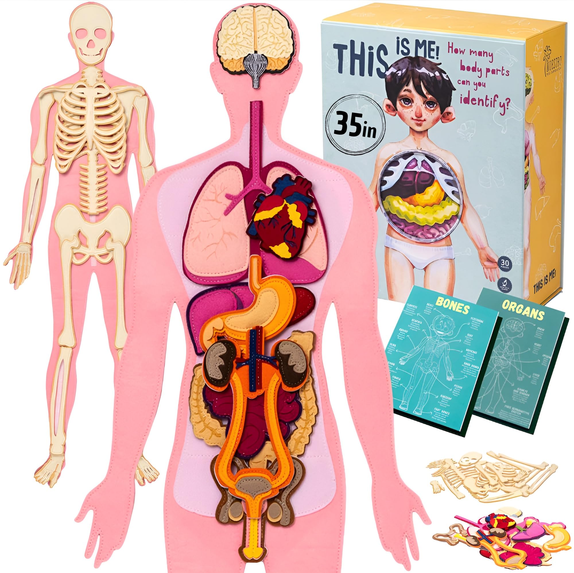 NUHICO This is Me! Human Body Model for Kids – Extra Large Felt Anatomy Set with 30 Detachable Organs & Bones – Montessori Organ Match for Homeschool Anatomy, Classroom Science & Educational Gift