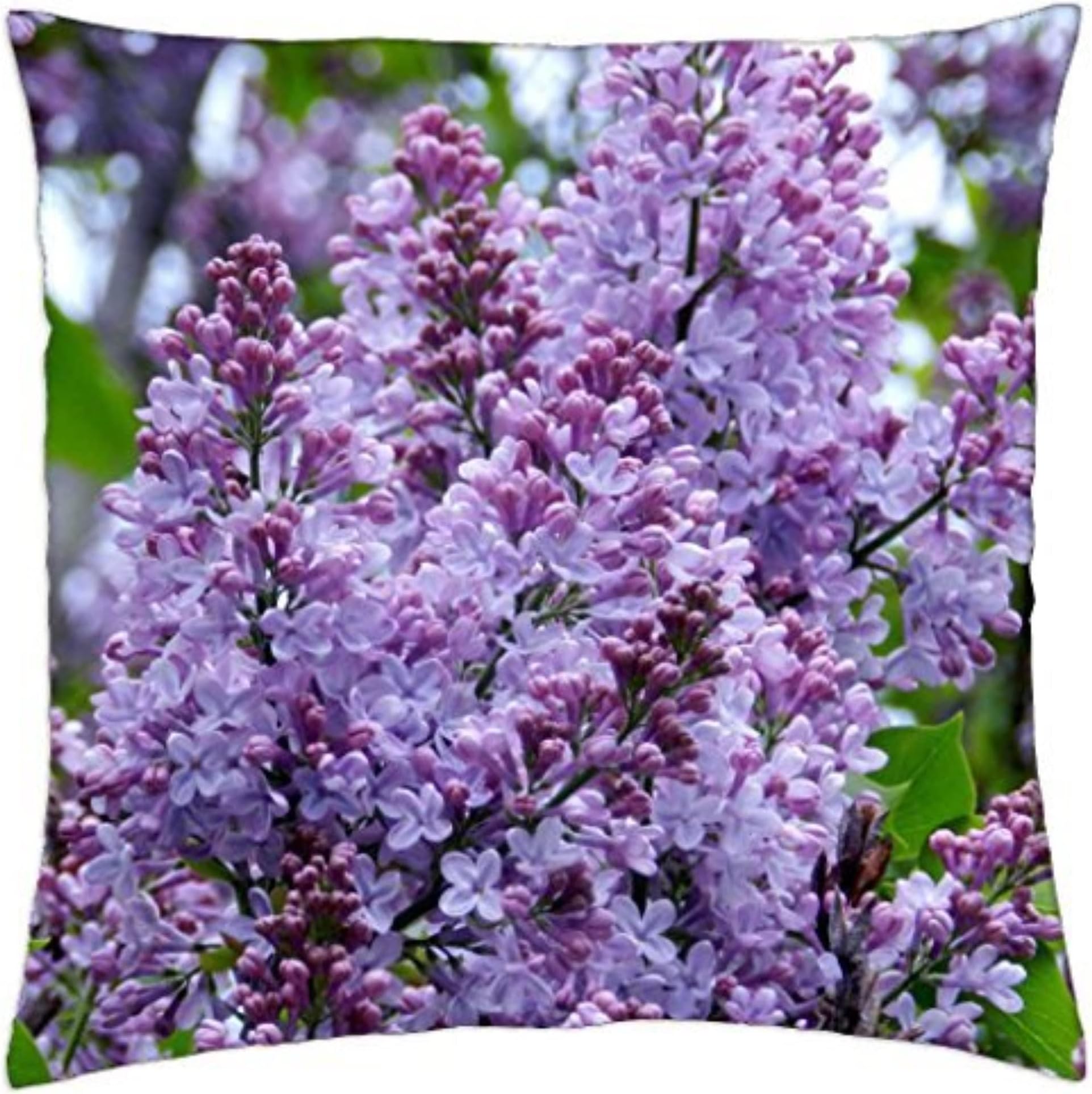 Geargrip Lite CPU Holder