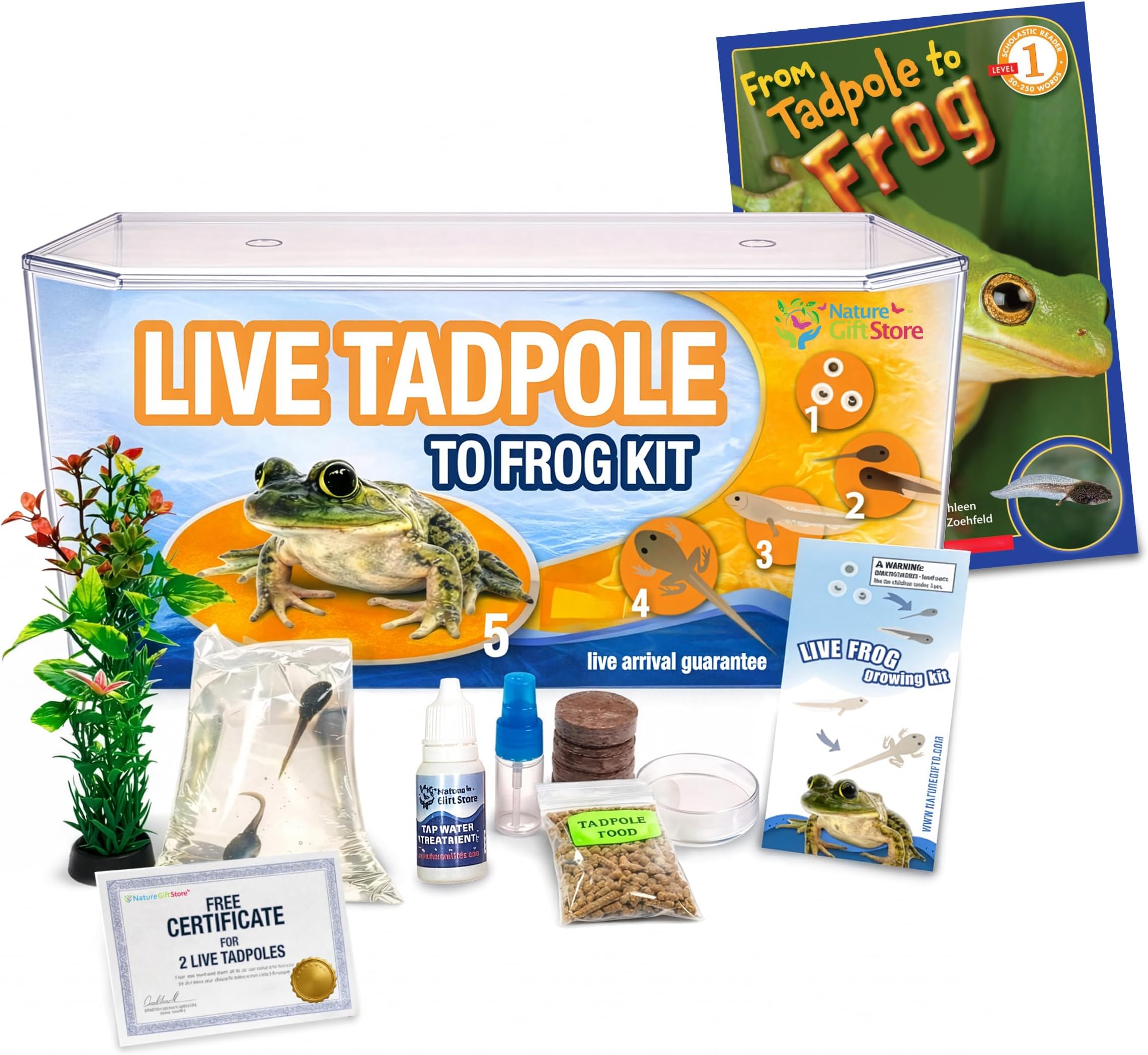 Tadpole to Frog Starter Kit - Includes Certificate for 2 Live Tadpoles - All-in-One Bundle with Habitat, Food, Instructions, and Book - Ideal for Education and Home Observation