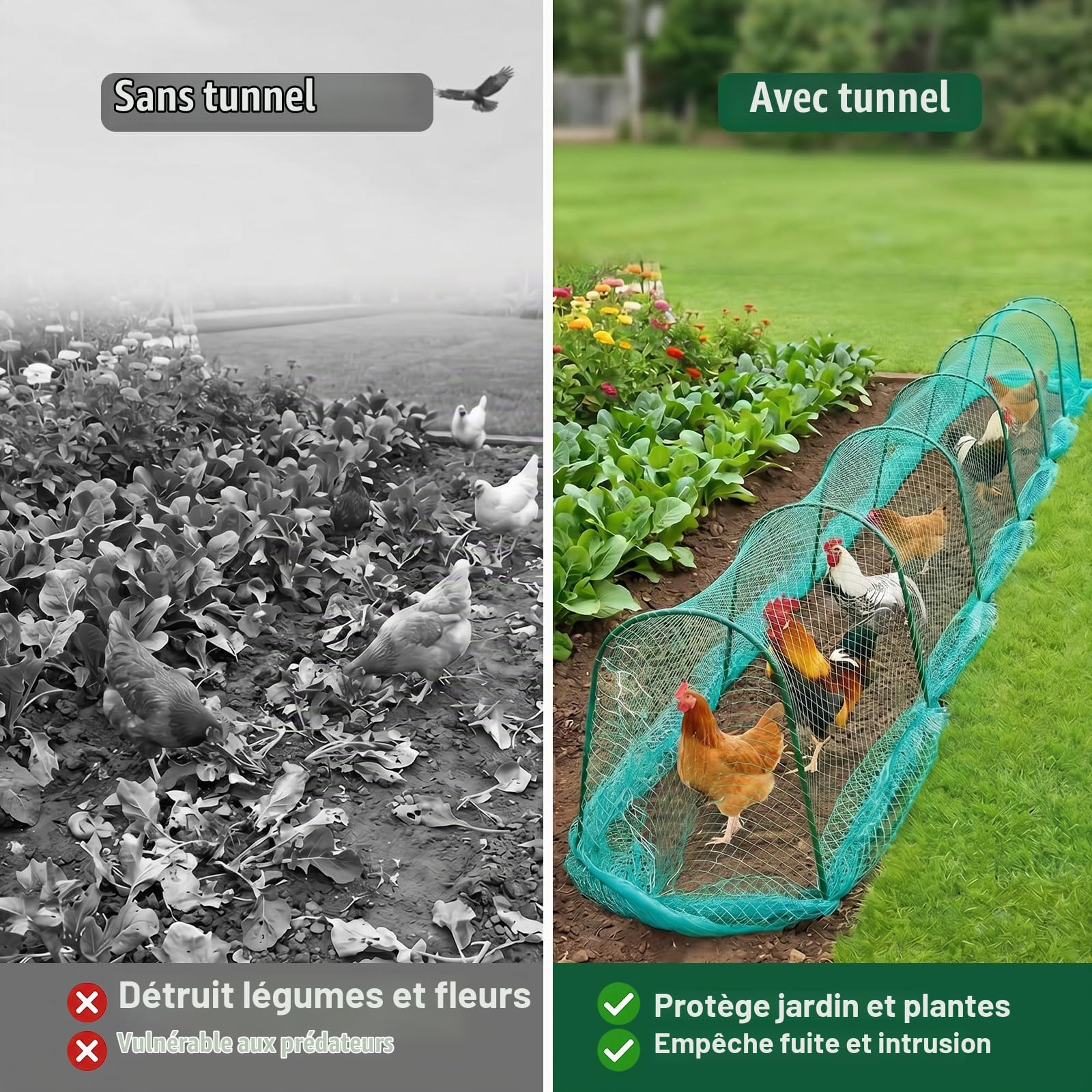 Tunnel de 9 m pour poulailler, enclos d'extérieur