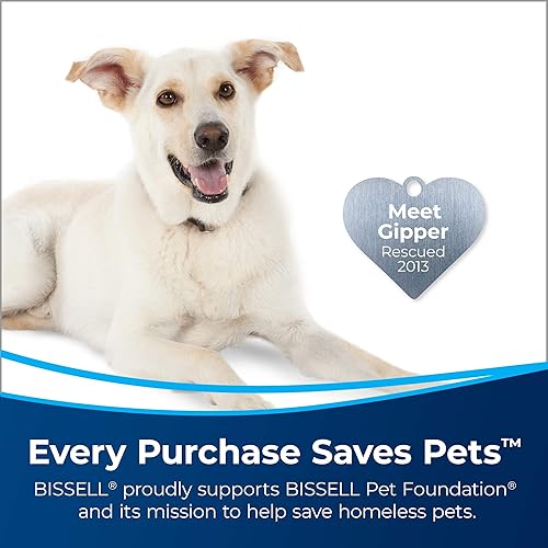 Miniatura 3 de BISSELL Tough Oxy Stain - Fórmula de pretratamiento, 22 onzas líquidas, paquete de 2