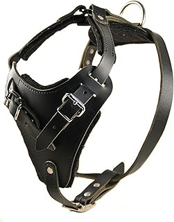Dean and Tyler The Boss with Handle Nickel Hardware Leather Dog Harness, Black, Medium - Fits Girth Size: 28-Inch to 37-Inch