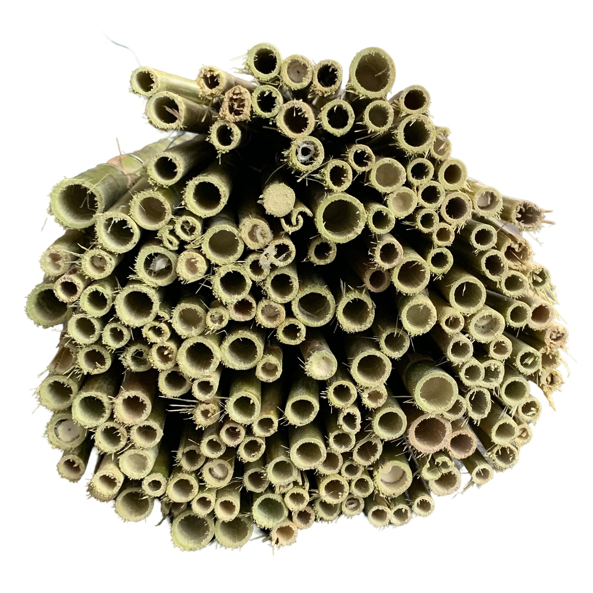 Sicignano | Canne Italia Arella in Bamboo Naturale 2x3 Metri, Ideale per Recinzioni Separè Coperture Spazi Privacy, Casa Giardino Mare Spiaggia, Utili per Creare Ombra