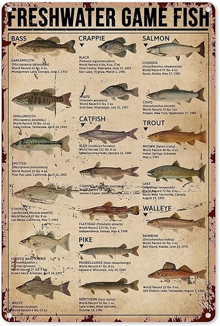 Fish Aluminum Metal Sign,Freshwater Game Fish,Wall Decor Poster Home Bedroom Kitchen Bar Home Cafe 8x12 Inch