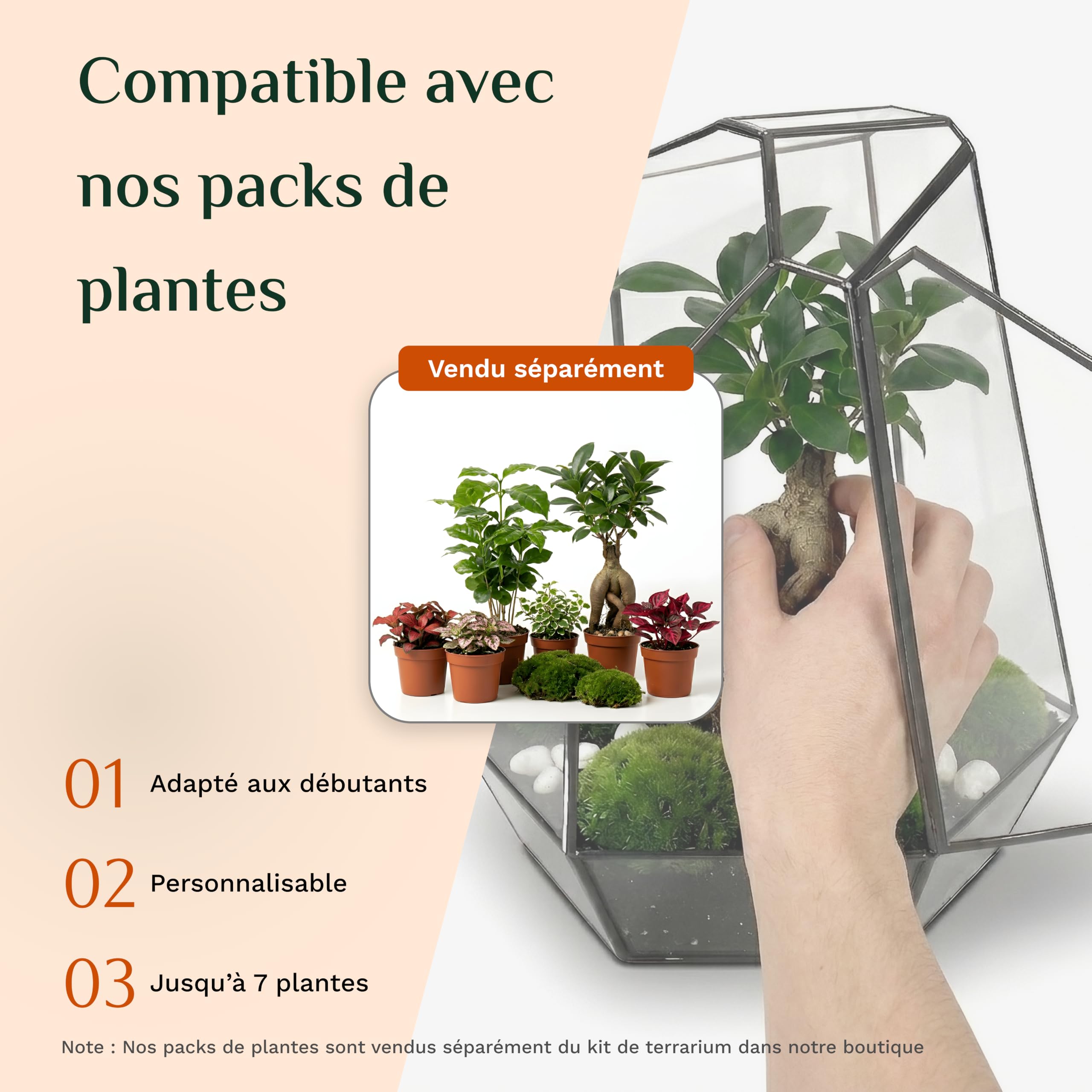 Noctis - Kit de Terrarium Complet DIY pour Plantes avec Substrat et 10 Outils Inclus - Structure en Verre - Design Géométrique - Écosystème Autonome, Coffret Créatif (sans Plantes)