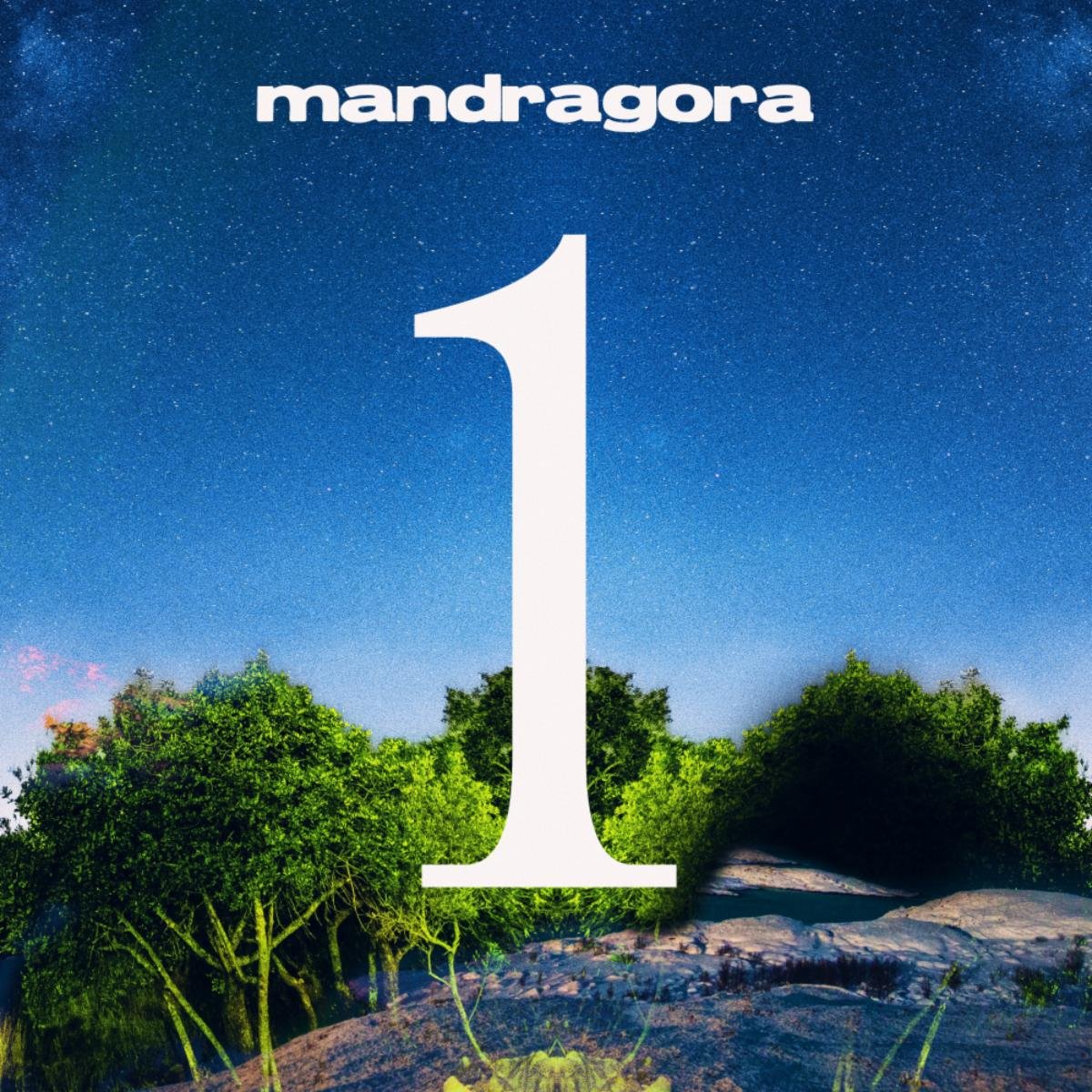 Mandragora