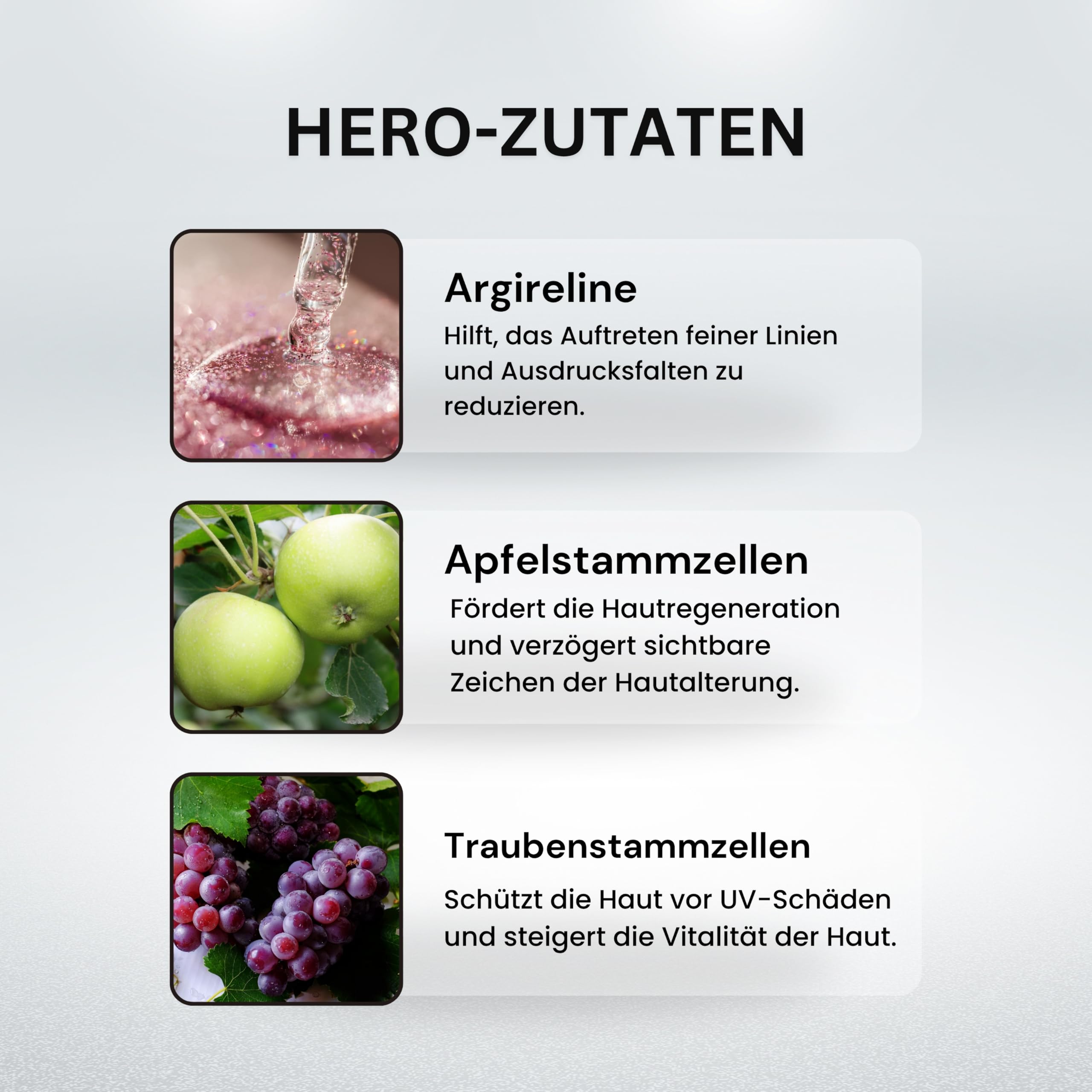 Vegane Stammzellen Gesichtscreme [Made in Germany] – Anti-Aging Pflege mit Argireline, Hyaluron & Apfel-Stammzellen – Straffende Creme gegen Falten – 50ml (50ML)