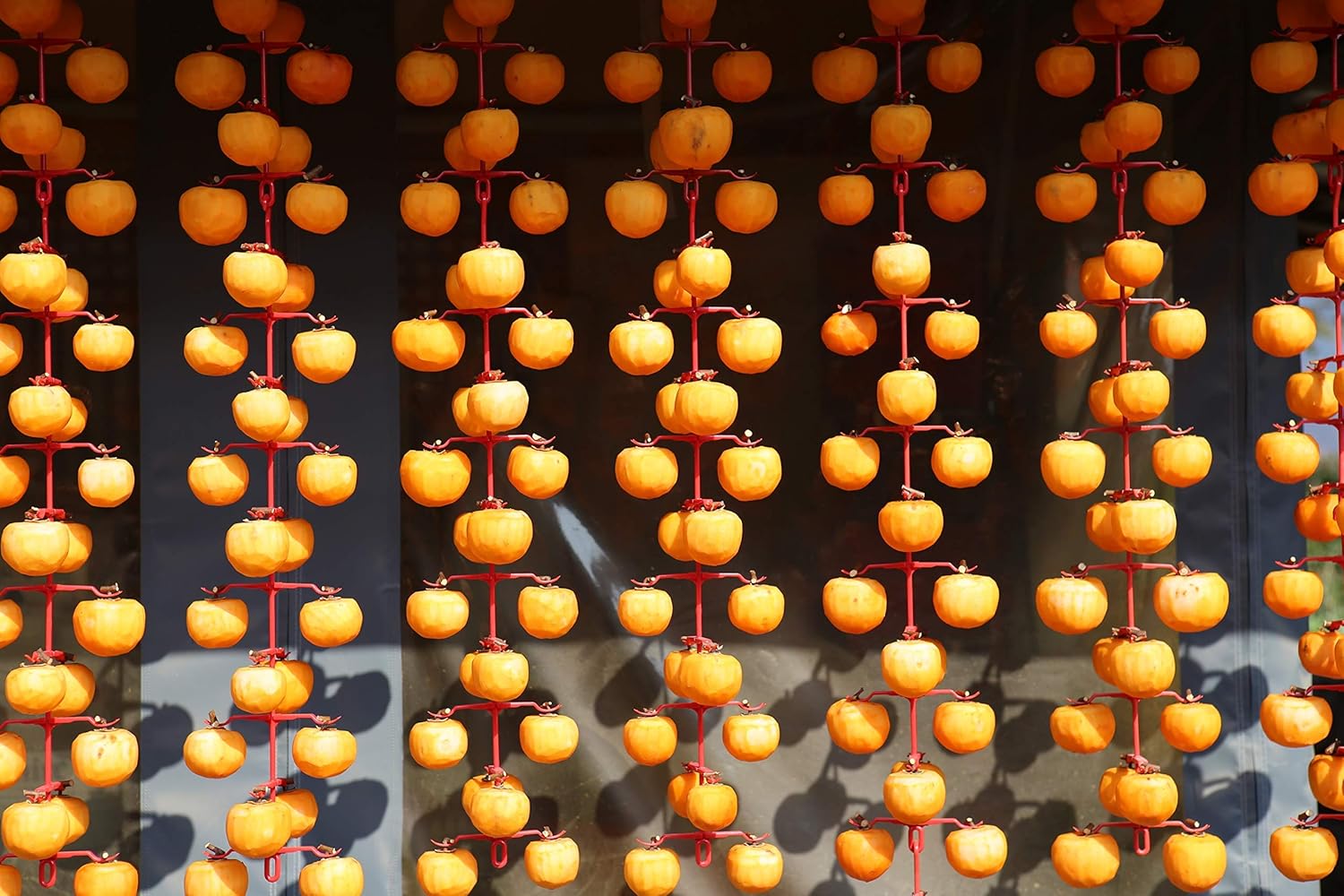 Sun Dried Persimmons Organic Japanese Hand Massaged Hoshigaki 1 lb