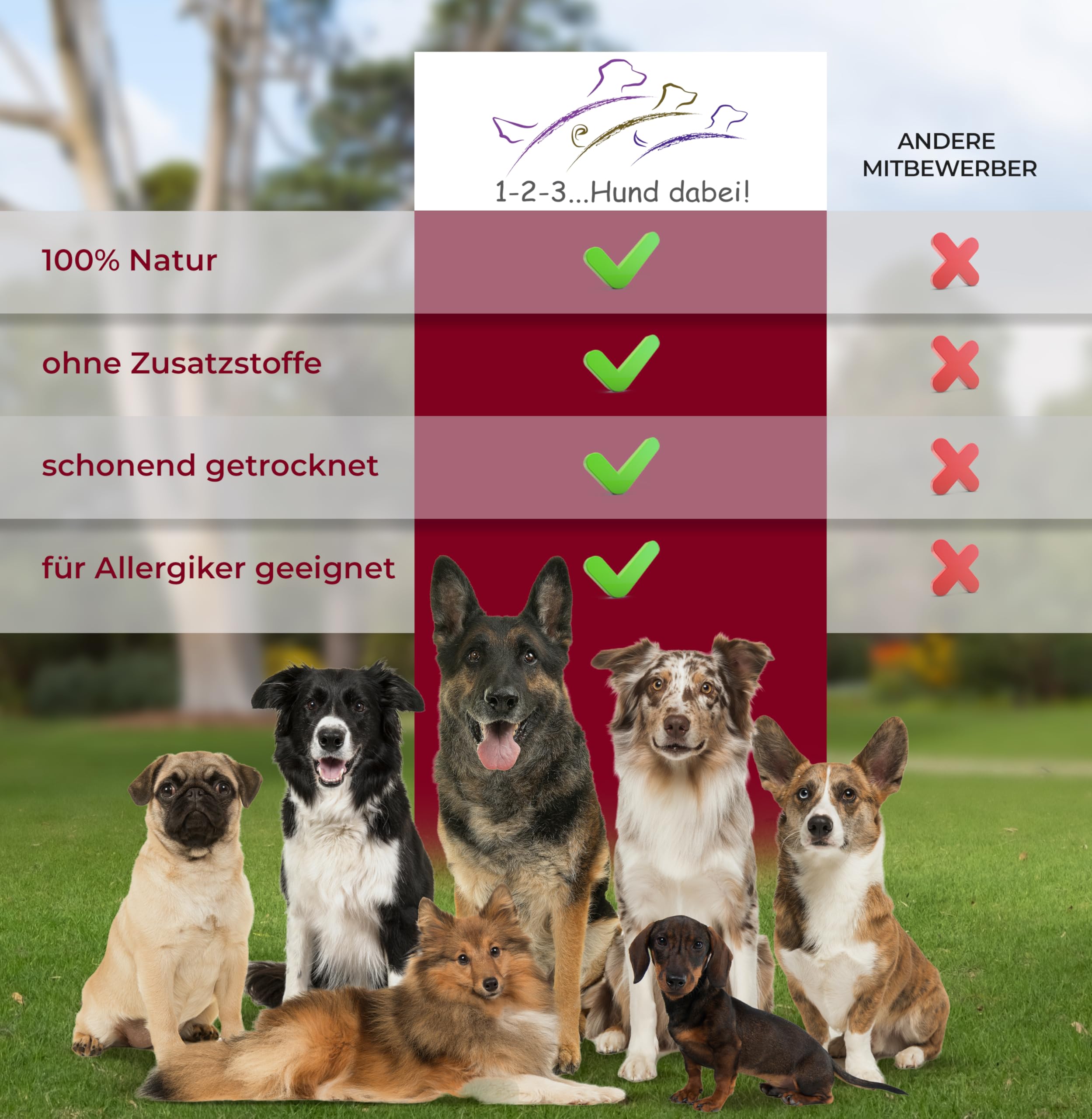 Orejas de vacuno con concha de 50 unidades - Snack magro para intermedios y como recompensa - Orejas de vacuno con concha para perros grandes - Paquete de almacenamiento (50 tubos