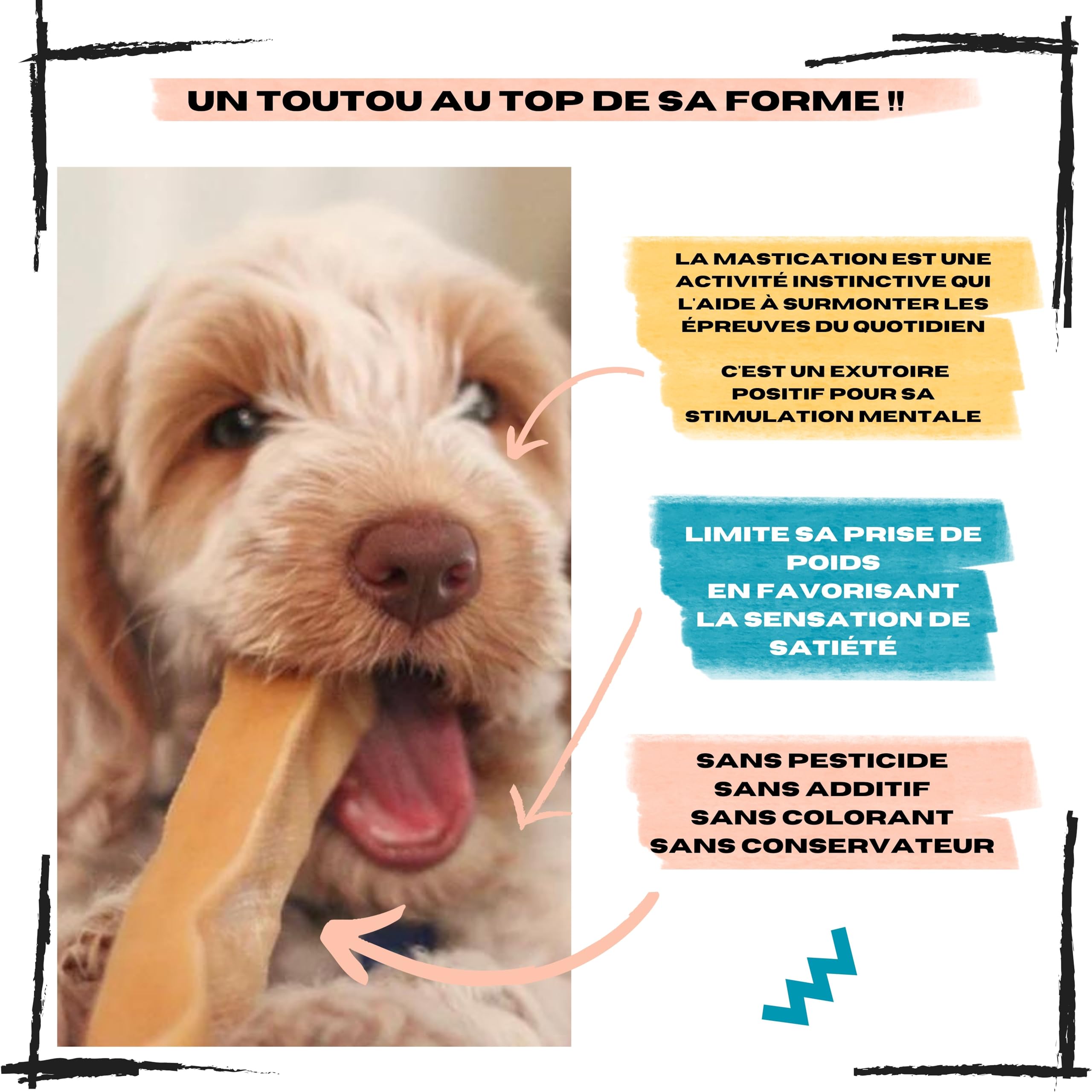 Fromage de Yak pour Chien, Taille L 10 à 15 Kg, Lot de 3 | 100% Naturel, Sans Lactose, Friandise Durable Himalayenne, Riche en Calcium