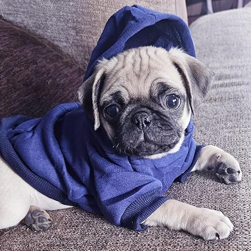 Miniatura 41 de Jecikelon - Sudadera con capucha y bolsillos, cálida para invierno, para perros pequeños, ropa de abrigo para chihuahuas, disfraz para cachorros