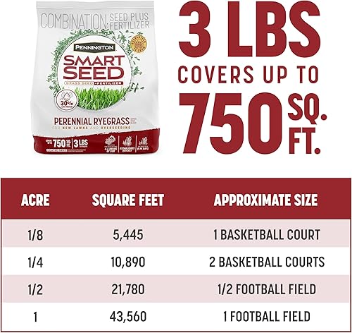 Miniatura 11 de Pennington Smart Seed Perenne Ryegrass 3 lb