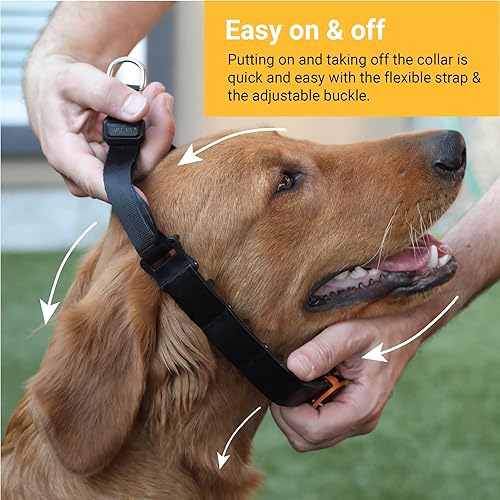Miniatura 10 de SVD.PET Collar de punta para perro para entrenamiento sin tirones, hebilla de liberación rápida, collar ajustable para perros pequeños (bronceado,