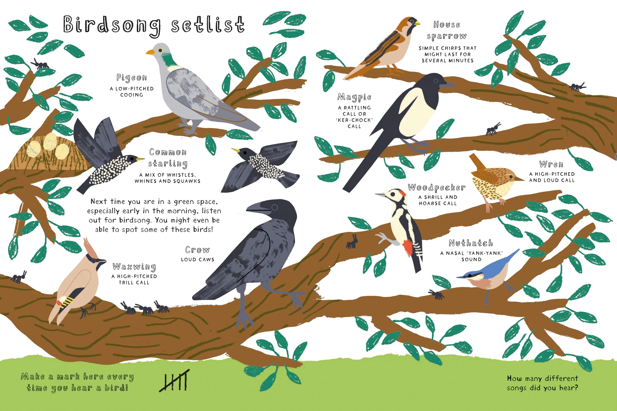 National Trust: Rewild This Book : A nature activity book that can be planted!
