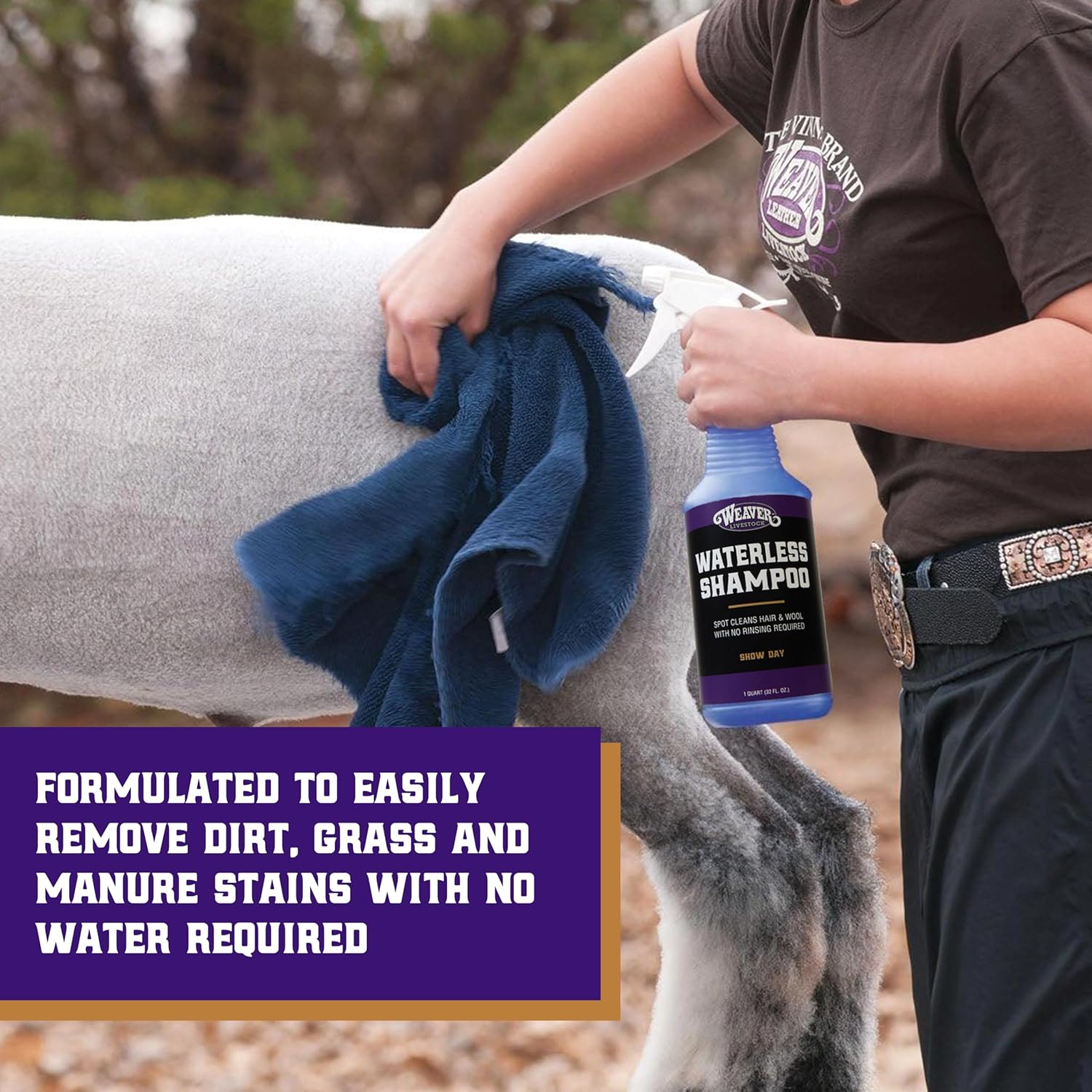 Weaver Livestock Waterless Shampoo, (1-Quart), No Rinse Wash and Shine Cleanser for All Livestock - Daily use, Hair, Wool Shampoo