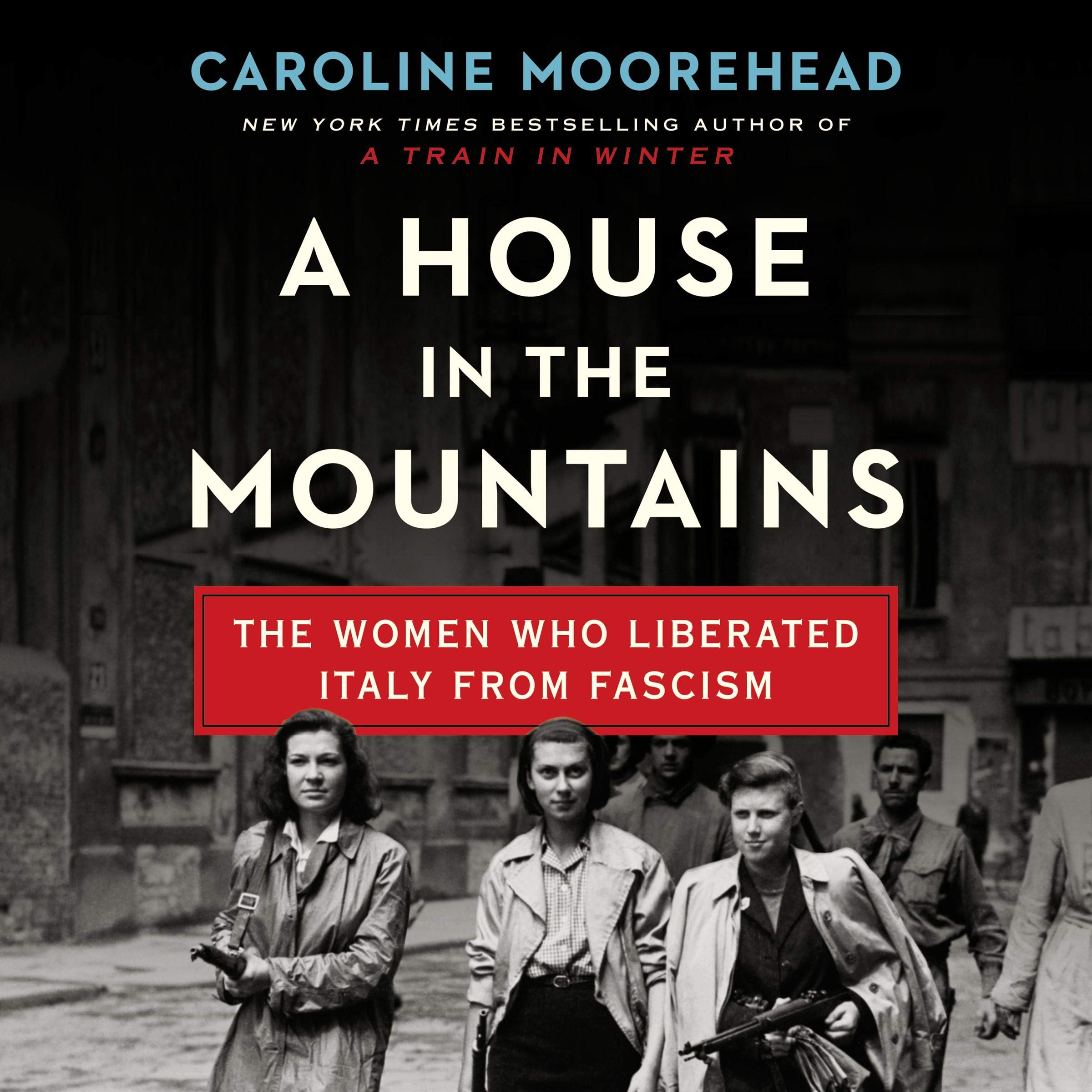 Cover art for A House in the Mountains