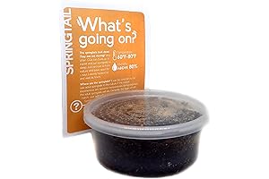 Temperate Springtails (Collembola) - 8 oz Culture