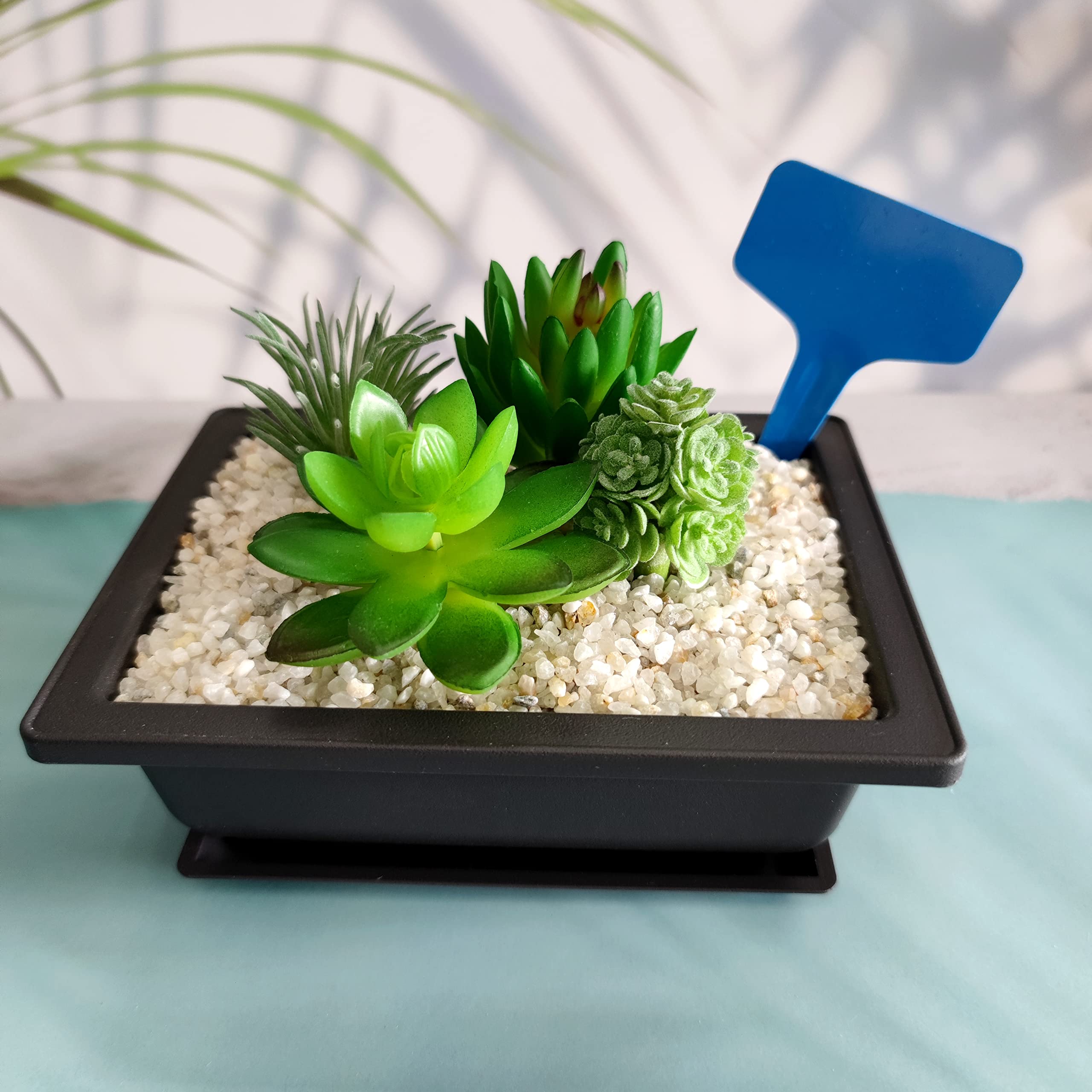 Bekith 6 Pezzi Vasi per Bonsai 22 cm Vaso Quadrato in Plastica e Vasi per Piante Bonsai Vassoi per Umidità Profonda Adatti a Giardino, Cortile, Salotto, Balcone