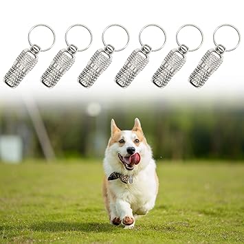 AUEAR, 10 Pack Pet ID Tags Name Address Cell Phone Number Tags Stainless Steel Personalized Dog Cat Tags Small Animal ID Tag Barrel Tube Anti-Lost