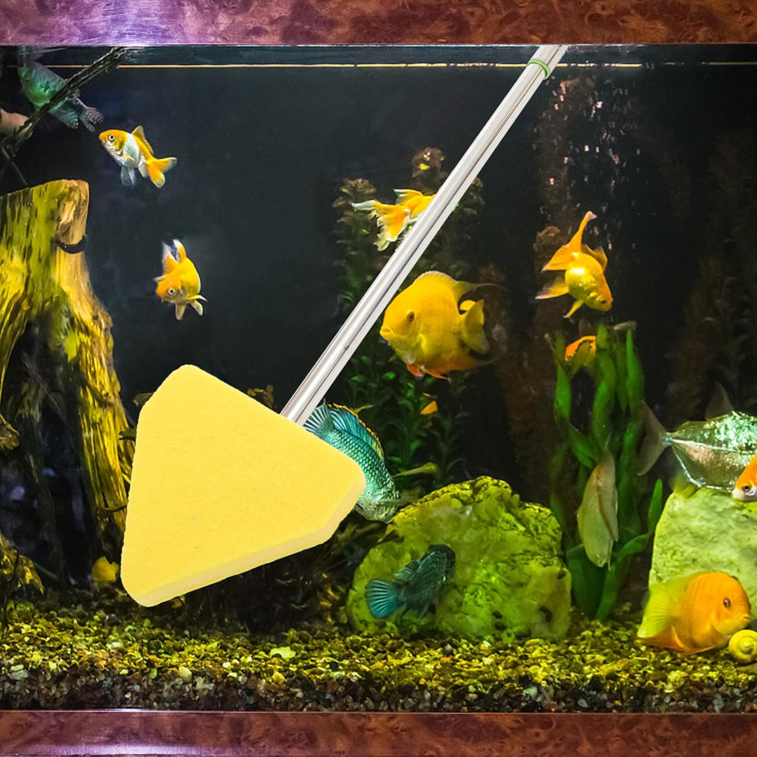 Fish Tank Cleaning Supplies Triangle Sponge Brush Non-Slip for Glasses Tanks and Aquariums Random Color