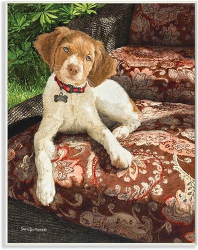 Stupell Industries Sueellen Ross - Placa de pared con diseño floral de cachemira sentado con diseño de perro de campo, 13 x 19 pulgadas