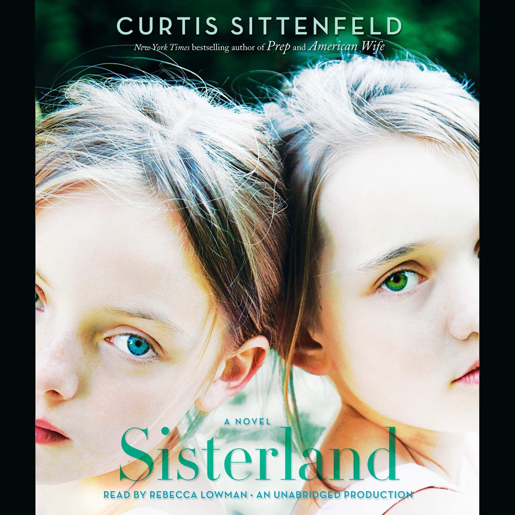 Cover art for Sisterland