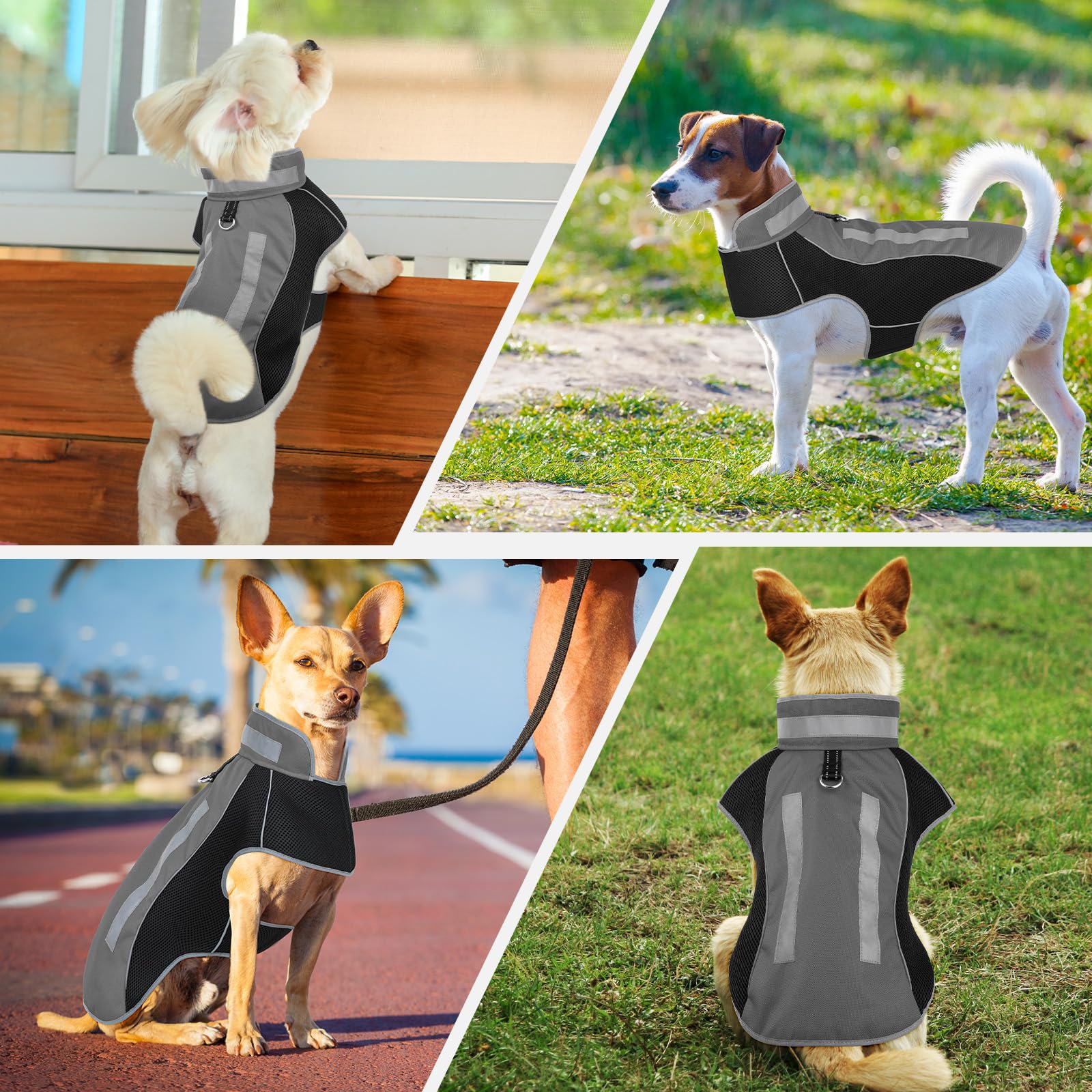 Kleine Hundejacke, warme Winter-Hundejacke, reflektierende Haustierjacke mit Fleece, Haustierkleidung für kleine, mittelgroße Hunde (Grau, M)