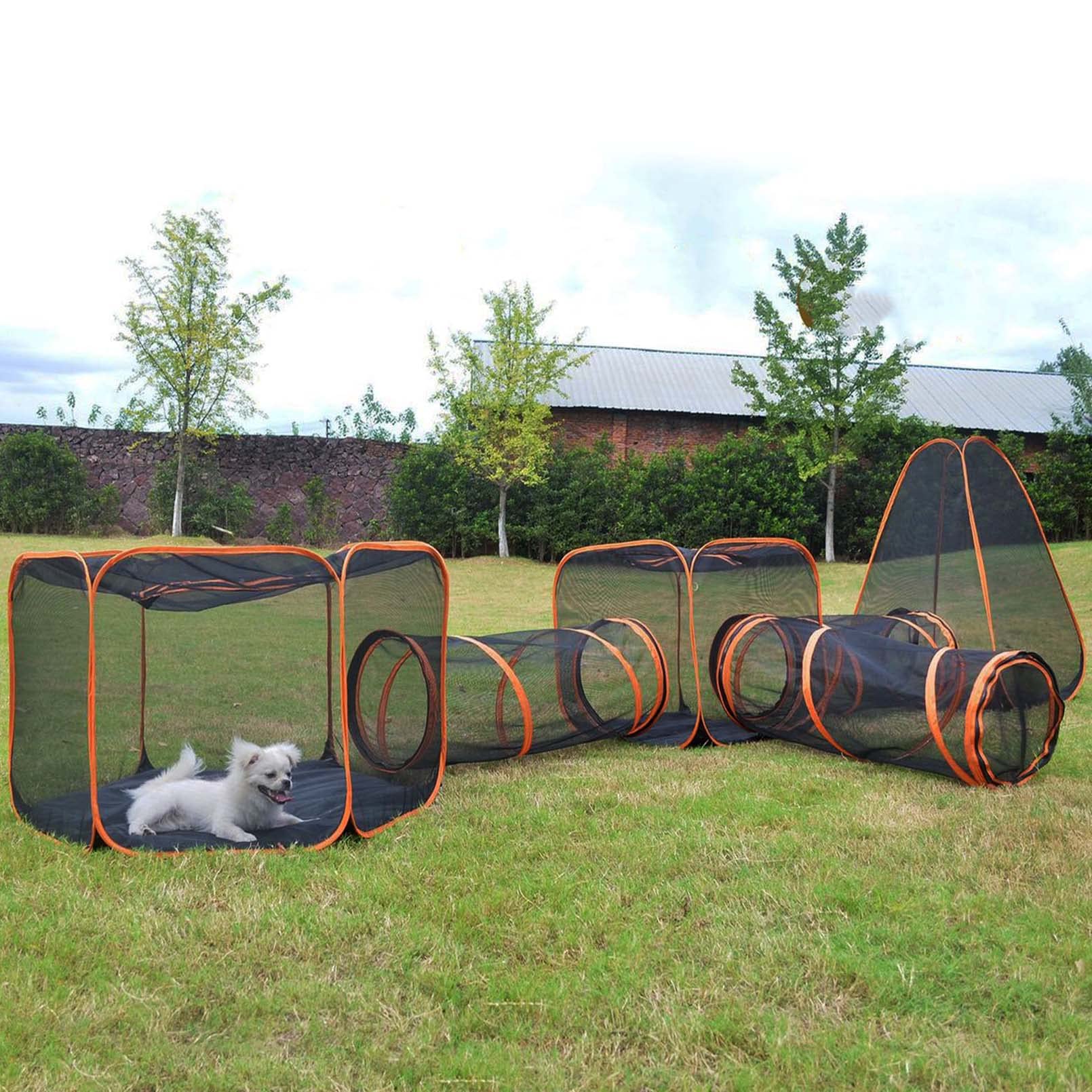 Diy Dog Tunnel ubicaciondepersonas.cdmx.gob.mx