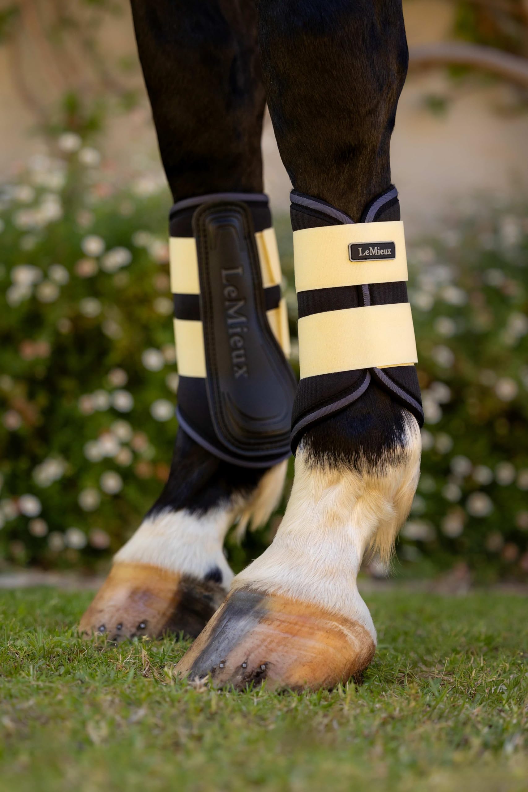 LeMieux Grafter Pony/Pferde-Bürstenstiefel – Mimose