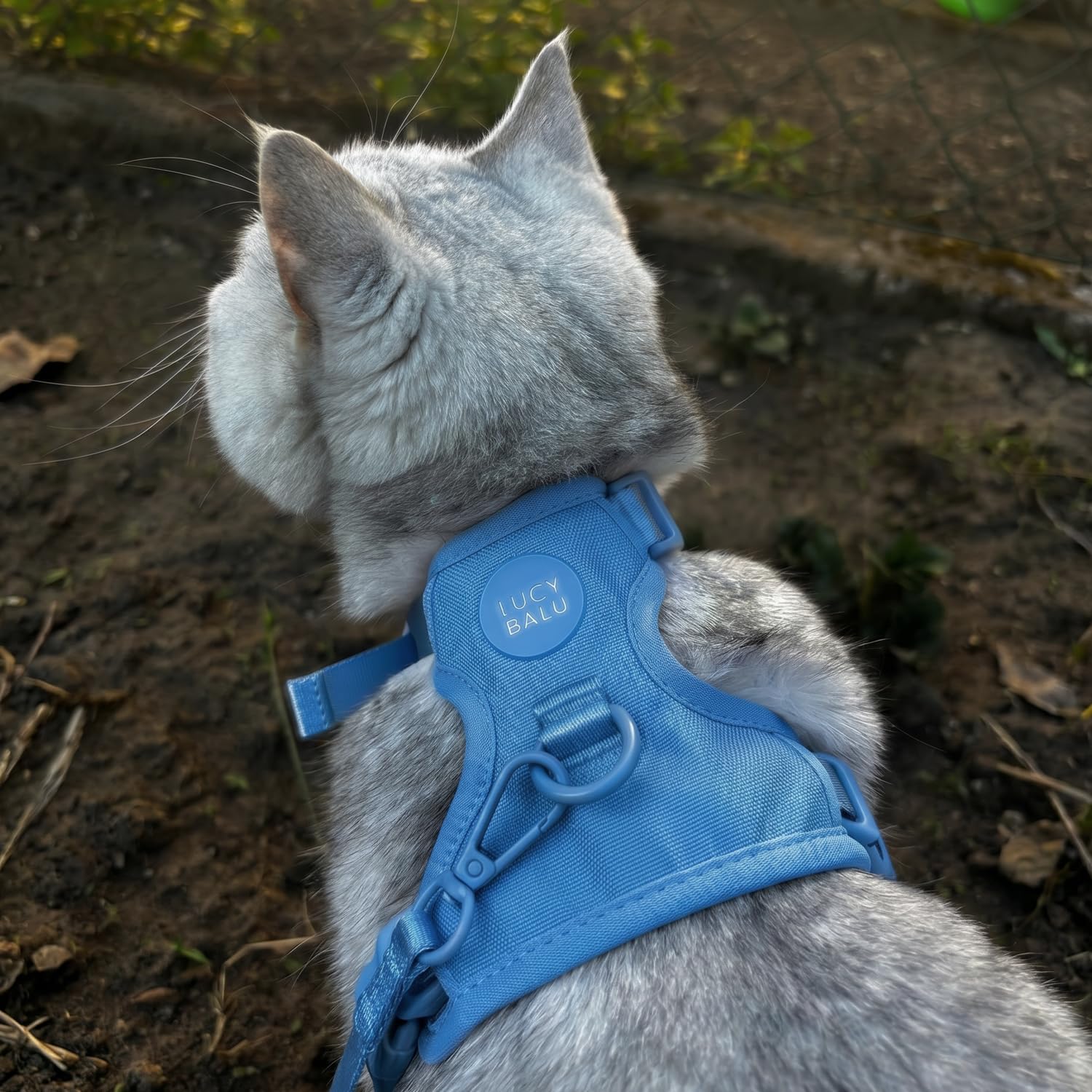 LucyBalu® Explorer uprząż dla kota ze smyczą I zestaw uprzęży na klatkę piersiową z kieszenią na AirTag I wyściełana, oddychająca i regulowana, smycz dla kota 1,5 m, niebieska, XS/S